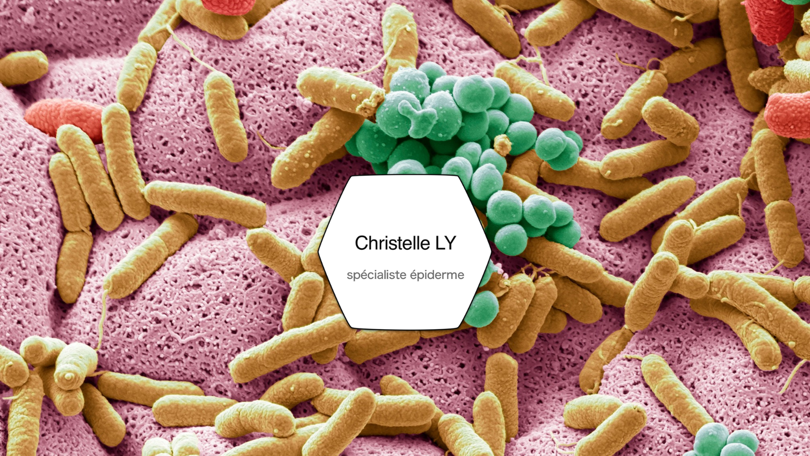 Formation e.learning Microbiote cutané