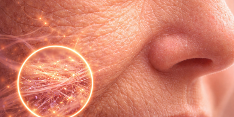 ChatGPT Image 7 févr. 2026, 19_54_31